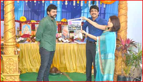 hero nagarjuna,hero karthi,pvp cinema,vamsi paidipally,sruthi haasan,gopisunder  నాగార్జున, కార్తీ హీరోలుగా పి.వి.పి. చిత్రం ప్రారంభం